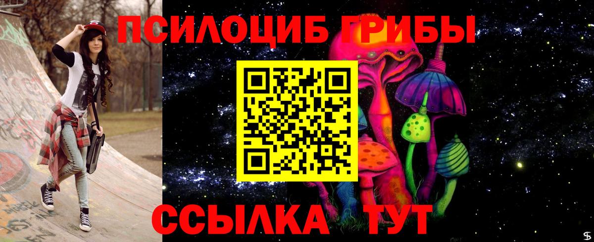дарнет шоп  Псилоцибиновые грибы Psilocybe  Вход с VPN  Избербаш 